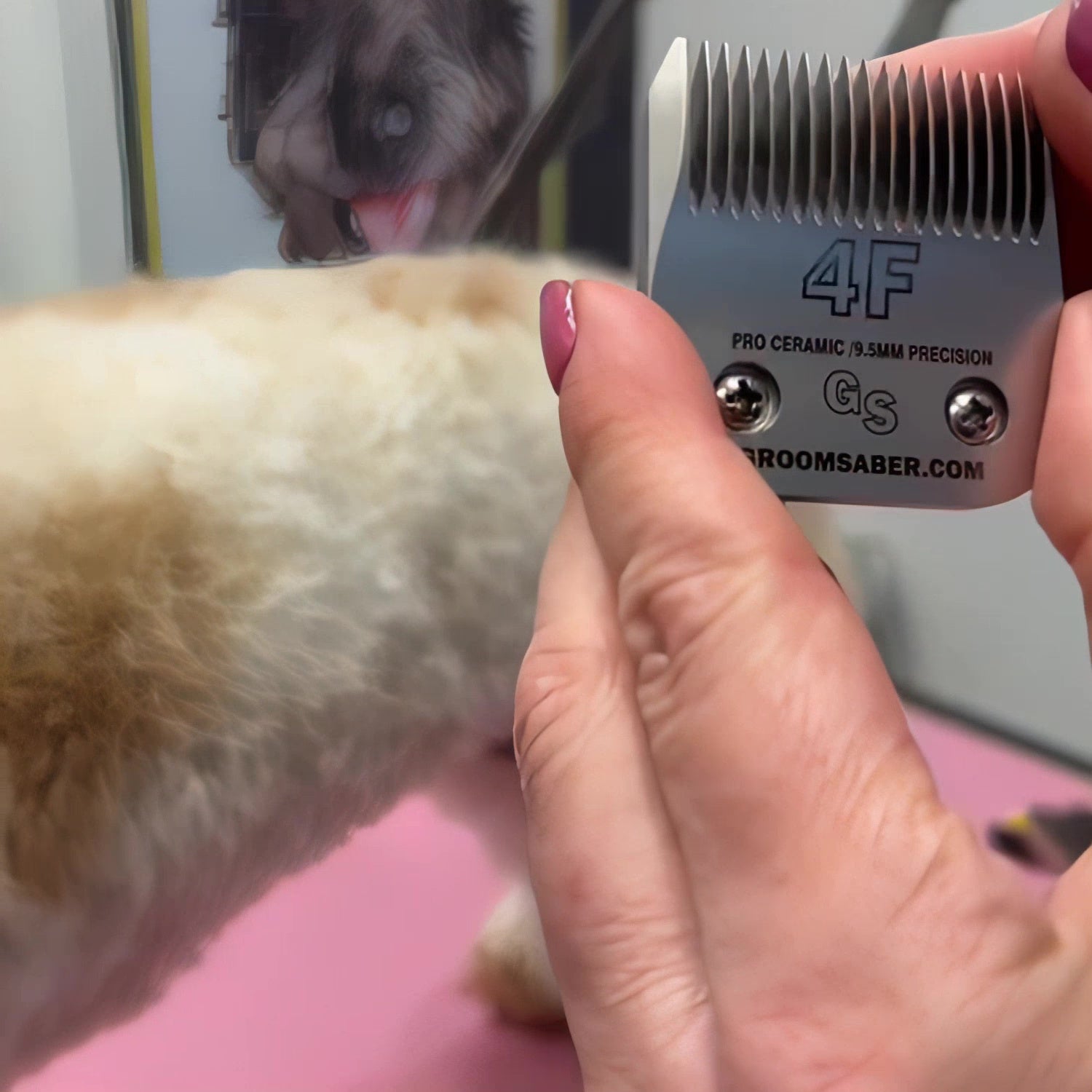 4F Ceramic Clipper Blade Demo